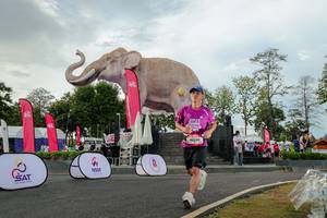 BIB: 
                            <button type="button" onclick="openModal(26528429)" class="btn btn-primary btn-sm float-right btn-popup" data-toggle="modal" data-target=".modal-high-quality">
                        <i class="fas fa-shopping-cart"></i> Add to Cart
                    </button>
                                            <button type="button" onclick="isThisMe(26528429, true)" class="btn btn-success btn-sm float-right btn-popup btn-isme hidden" data-toggle="tooltip" data-placement="bottom" title="นี่คือรูปของคุณใช่ไหม คลิกที่นี่เพื่อเอาเข้าอัลบั้ม">
                        <i class="fas fa-plus"></i> Add to album
                    </button>
                    <button type="button" onclick="isThisMe(26528429, false)" class="btn btn-warning btn-sm float-right btn-popup btn-isnotme hidden">
                        <i class="fas fa-ban"></i> Remove from album
                    </button>